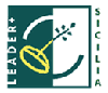 logo leader+